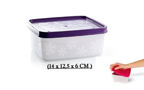 ÜÇSAN FRIGO (0,65 LT)DERIN DONDURUCU SAKLAMA KABI (14 x12,5 x6CM )**24