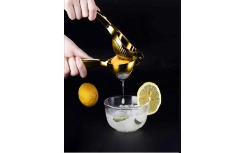 BAROTTI GOLD METAL LIMON SIKACAK*144