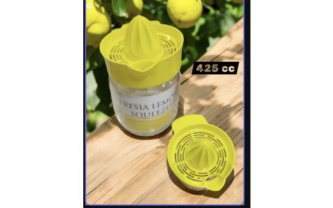 LÜX PLAS FRESIA LIMON SIKACAK 425CC**12