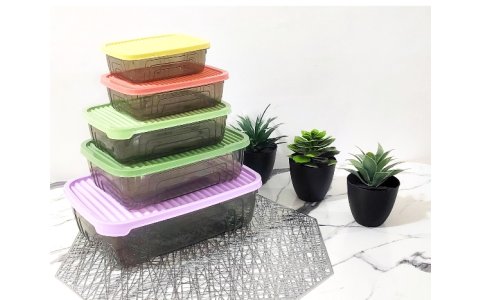 HEREVIN  RENKLİ  KAPAK 5LI DIKD SAKLAMA KABI***24