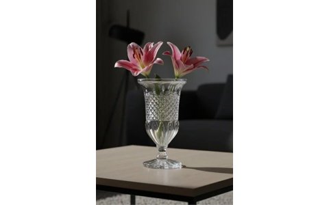 VIDREX DSHP132-300/L1 CAM VAZO(30*17CM)**6